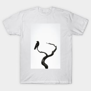 Bird on the look out T-Shirt